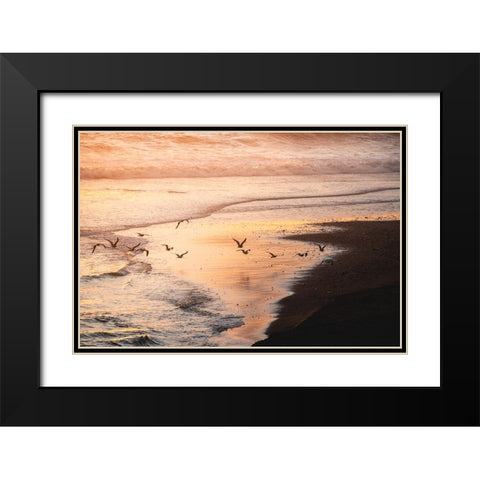 Sunset Seagulls and Pacific Ocean II Black Modern Wood Framed Art Print with Double Matting by Nature Magick