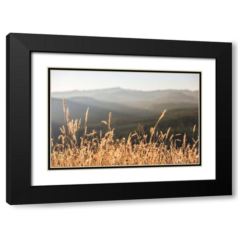 Mountain and Fall Fields Black Modern Wood Framed Art Print with Double Matting by Nature Magick