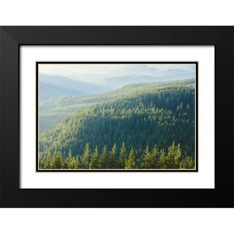 Green Vintage Treescape Black Modern Wood Framed Art Print with Double Matting by Nature Magick