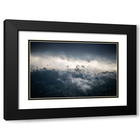 Fir Trees in the Forest Fog Blue Black Modern Wood Framed Art Print with Double Matting by Nature Magick