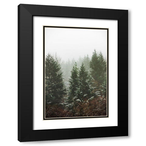 Forest Fog Winter Snow II Black Modern Wood Framed Art Print with Double Matting by Nature Magick