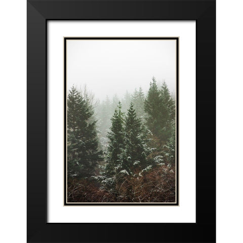 Forest Fog Winter Snow II Black Modern Wood Framed Art Print with Double Matting by Nature Magick