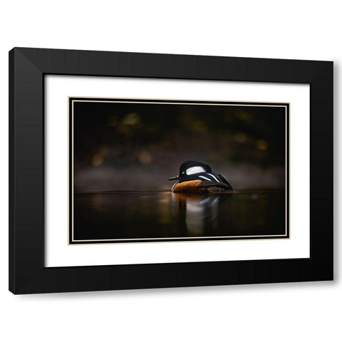 Pacific Northwest Duck Lake Reflection Black Modern Wood Framed Art Print with Double Matting by Nature Magick