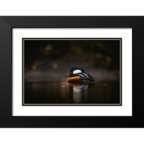 Pacific Northwest Duck Lake Reflection Black Modern Wood Framed Art Print with Double Matting by Nature Magick