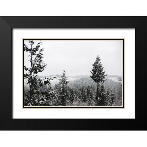 Winter in the Pacific Northwest Forest Black Modern Wood Framed Art Print with Double Matting by Nature Magick