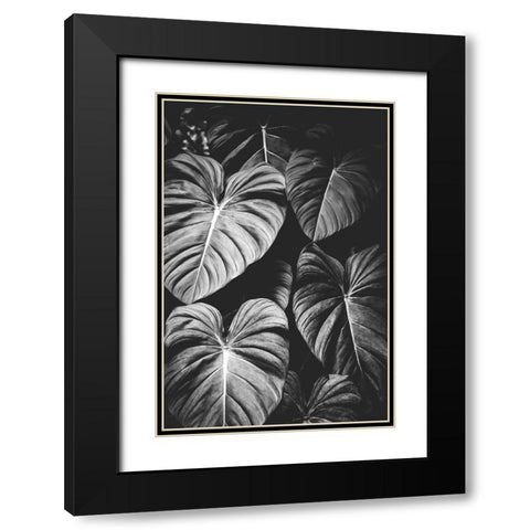 Monstera Leaves Jungle Black and White Tropical Black Modern Wood Framed Art Print with Double Matting by Nature Magick
