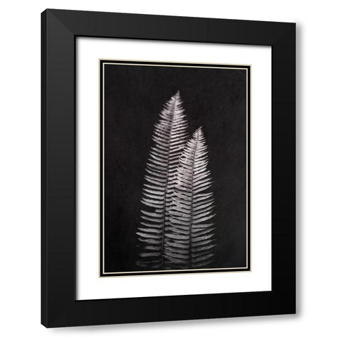 Black and White Forest Ferns Black Modern Wood Framed Art Print with Double Matting by Nature Magick
