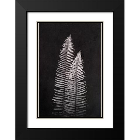 Black and White Forest Ferns Black Modern Wood Framed Art Print with Double Matting by Nature Magick