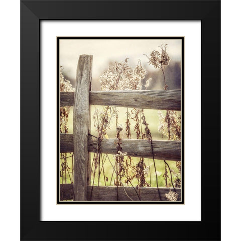 Sunrise Fence I Black Modern Wood Framed Art Print with Double Matting by Goodkind, Kristi