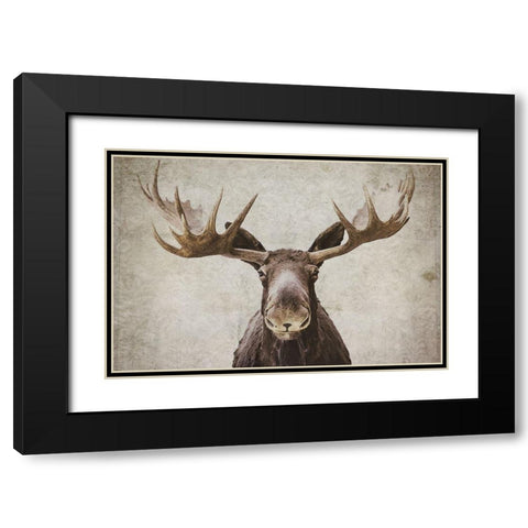 Moose Black Modern Wood Framed Art Print with Double Matting by Cook, Natasia