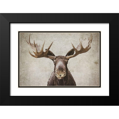 Moose Black Modern Wood Framed Art Print with Double Matting by Cook, Natasia