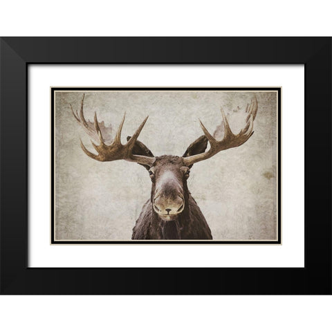 Elmer  Black Modern Wood Framed Art Print with Double Matting by Cook, Natasia