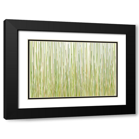 Grass Curtain Black Modern Wood Framed Art Print with Double Matting by Terra Jungle