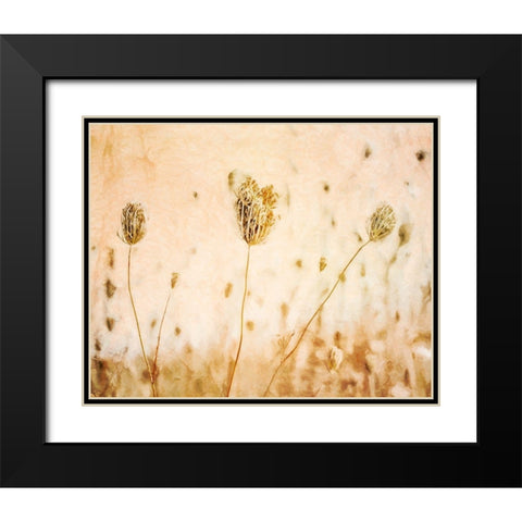 Lace in Autumn  Black Modern Wood Framed Art Print with Double Matting by Halli, Hal