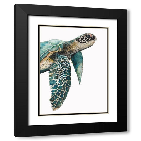 Great Sea TurtleÂ  Black Modern Wood Framed Art Print with Double Matting by Hatfield, Jodi