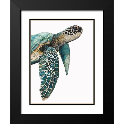 Great Sea TurtleÂ  Black Modern Wood Framed Art Print with Double Matting by Hatfield, Jodi