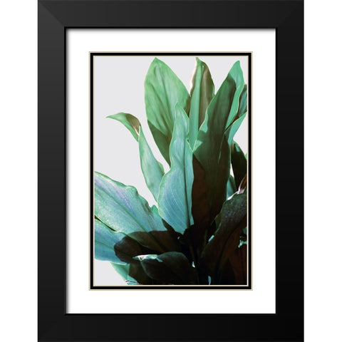 Green Leaves I Black Modern Wood Framed Art Print with Double Matting by Bainbridge, Hope