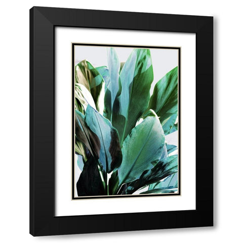 Green Leaves II  Black Modern Wood Framed Art Print with Double Matting by Bainbridge, Hope