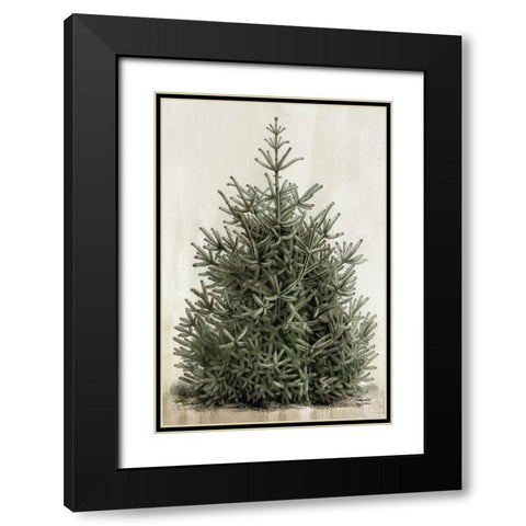 Forest Beauty  Black Modern Wood Framed Art Print with Double Matting by PI Studio