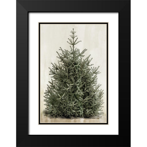 Forest Beauty  Black Modern Wood Framed Art Print with Double Matting by PI Studio