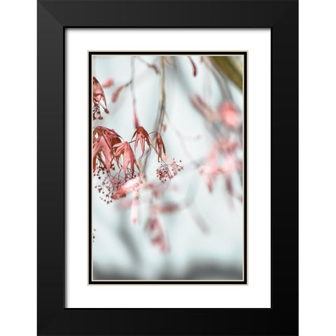 Leaves Palladium Black Modern Wood Framed Art Print with Double Matting by Smith, M.