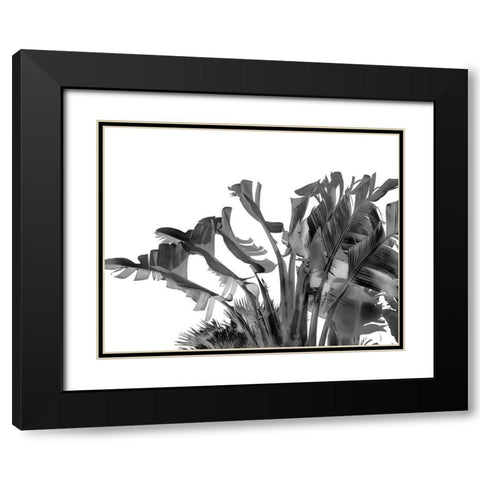 Tropical Velvet II - BW  Black Modern Wood Framed Art Print with Double Matting by Hartson- Weddle, Ryan