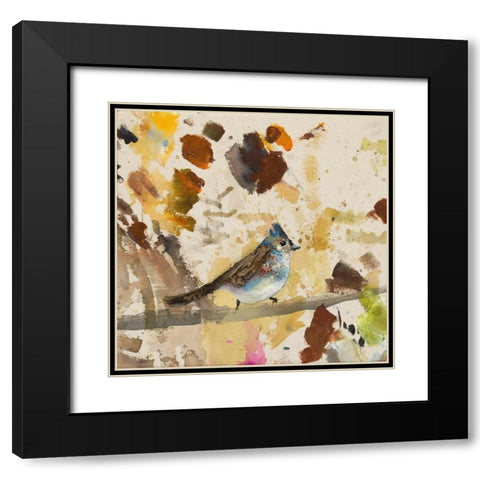 Blue Jay  Black Modern Wood Framed Art Print with Double Matting by St Amant, Daniel