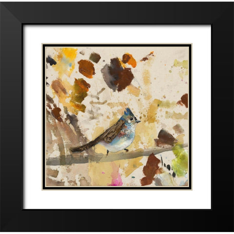 Blue Jay  Black Modern Wood Framed Art Print with Double Matting by St Amant, Daniel