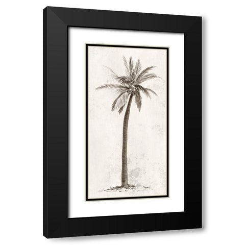Vintage Palm Tree II Black Modern Wood Framed Art Print with Double Matting by Ian C