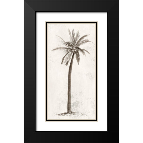 Vintage Palm Tree II Black Modern Wood Framed Art Print with Double Matting by Ian C