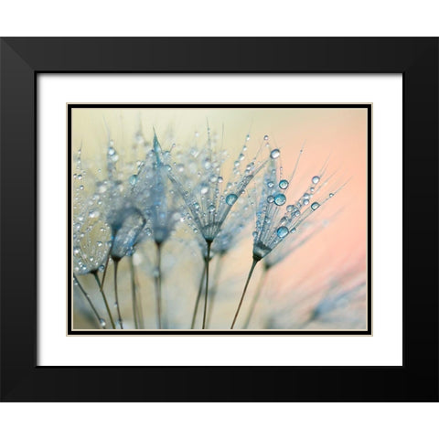 Summer Rain Black Modern Wood Framed Art Print with Double Matting by Beddoes, Ingrid