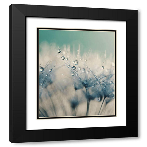 Bashful Blue Black Modern Wood Framed Art Print with Double Matting by Beddoes, Ingrid
