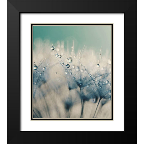 Bashful Blue Black Modern Wood Framed Art Print with Double Matting by Beddoes, Ingrid