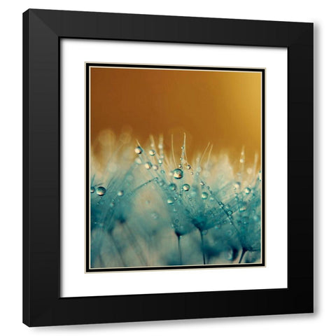 Satin Black Modern Wood Framed Art Print with Double Matting by Beddoes, Ingrid