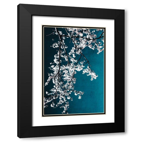 White Blossoms Black Modern Wood Framed Art Print with Double Matting by Beddoes, Ingrid