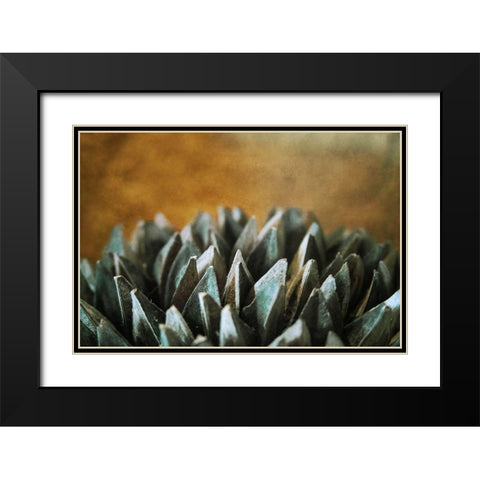 Seeding Black Modern Wood Framed Art Print with Double Matting by Valner, Jessica