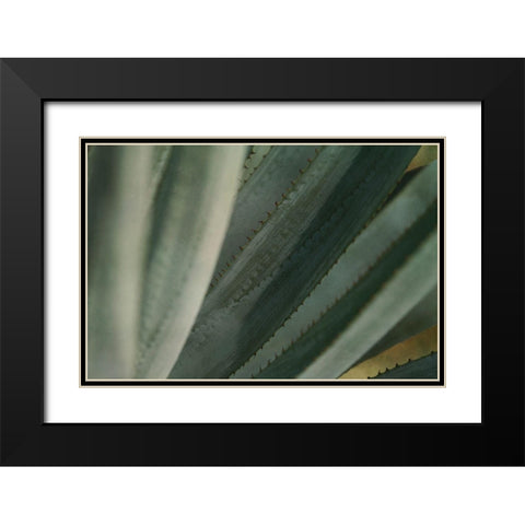 Agave Tequiliana Black Modern Wood Framed Art Print with Double Matting by Valner, Jessica