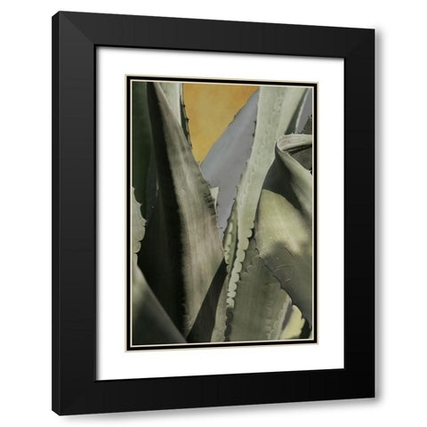 Agave Deserti I Black Modern Wood Framed Art Print with Double Matting by Valner, Jessica