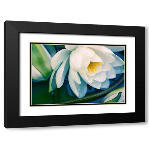 Calico Black Modern Wood Framed Art Print with Double Matting by Stalus, Judy