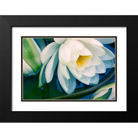 Calico Black Modern Wood Framed Art Print with Double Matting by Stalus, Judy