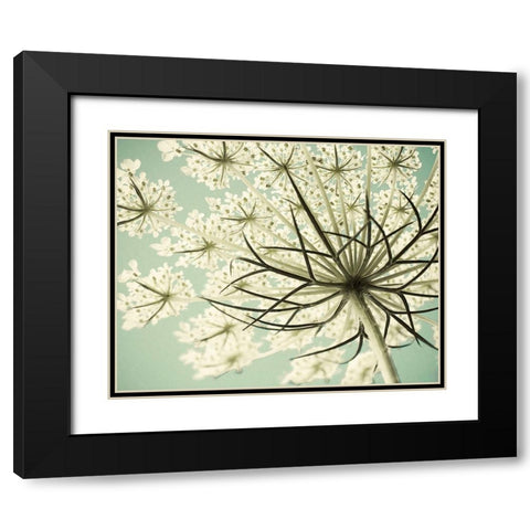 Sky Lace Black Modern Wood Framed Art Print with Double Matting by Stalus, Judy
