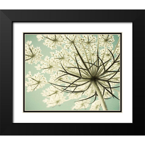 Sky Lace Black Modern Wood Framed Art Print with Double Matting by Stalus, Judy