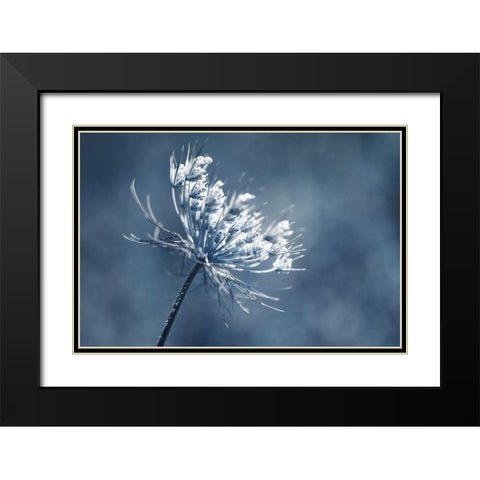 Queen Anne I  Black Modern Wood Framed Art Print with Double Matting by Stalus, Judy
