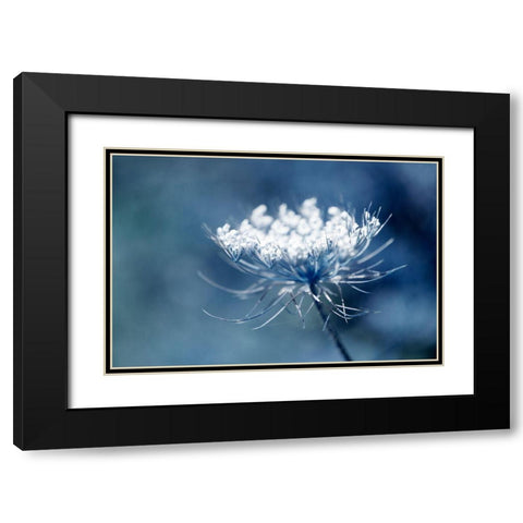 Queen Anne II Black Modern Wood Framed Art Print with Double Matting by Stalus, Judy