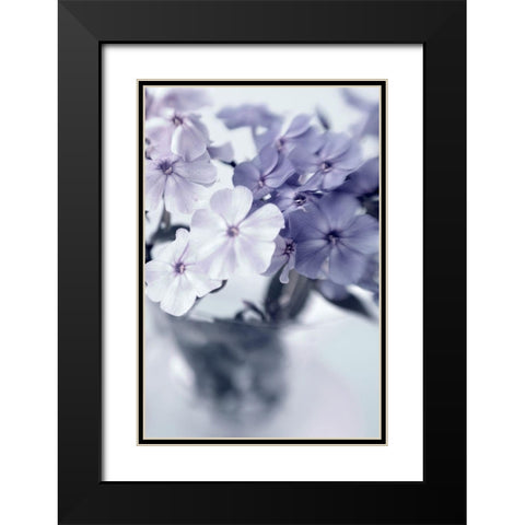 Violet Hydrangea  Black Modern Wood Framed Art Print with Double Matting by Stalus, Judy
