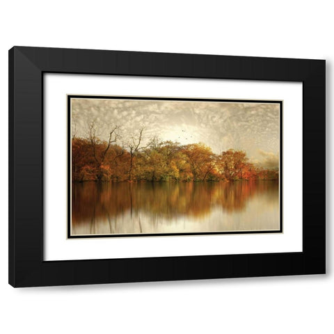 Floating Foliage Black Modern Wood Framed Art Print with Double Matting by Jenney, Jessica
