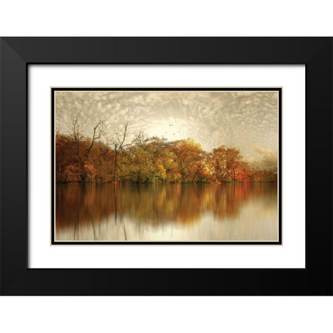Floating Foliage Black Modern Wood Framed Art Print with Double Matting by Jenney, Jessica