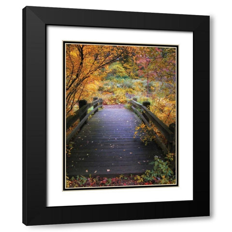 Bridge Over Shallow Water Black Modern Wood Framed Art Print with Double Matting by Jenney, Jessica