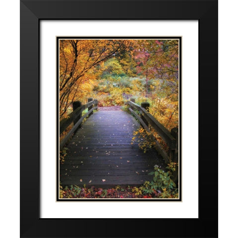 Bridge Over Shallow Water Black Modern Wood Framed Art Print with Double Matting by Jenney, Jessica