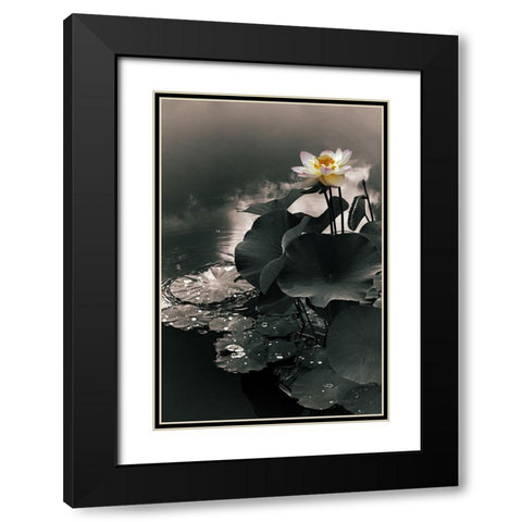 Lotus in the Mist Black Modern Wood Framed Art Print with Double Matting by Jenney, Jessica